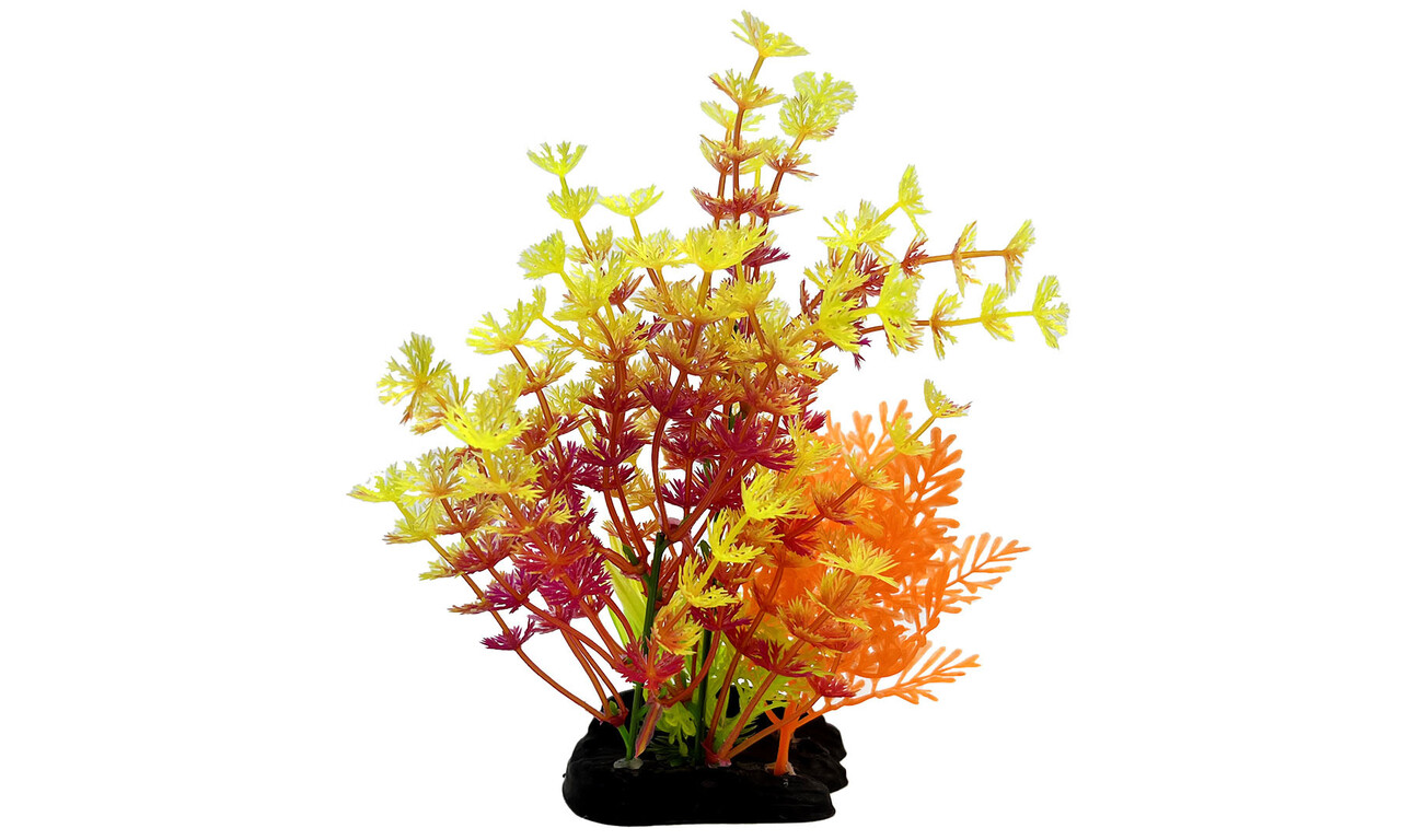 AquastoreXL Kunstpflanze 5 AquastoreXL Kunstpflanze 5