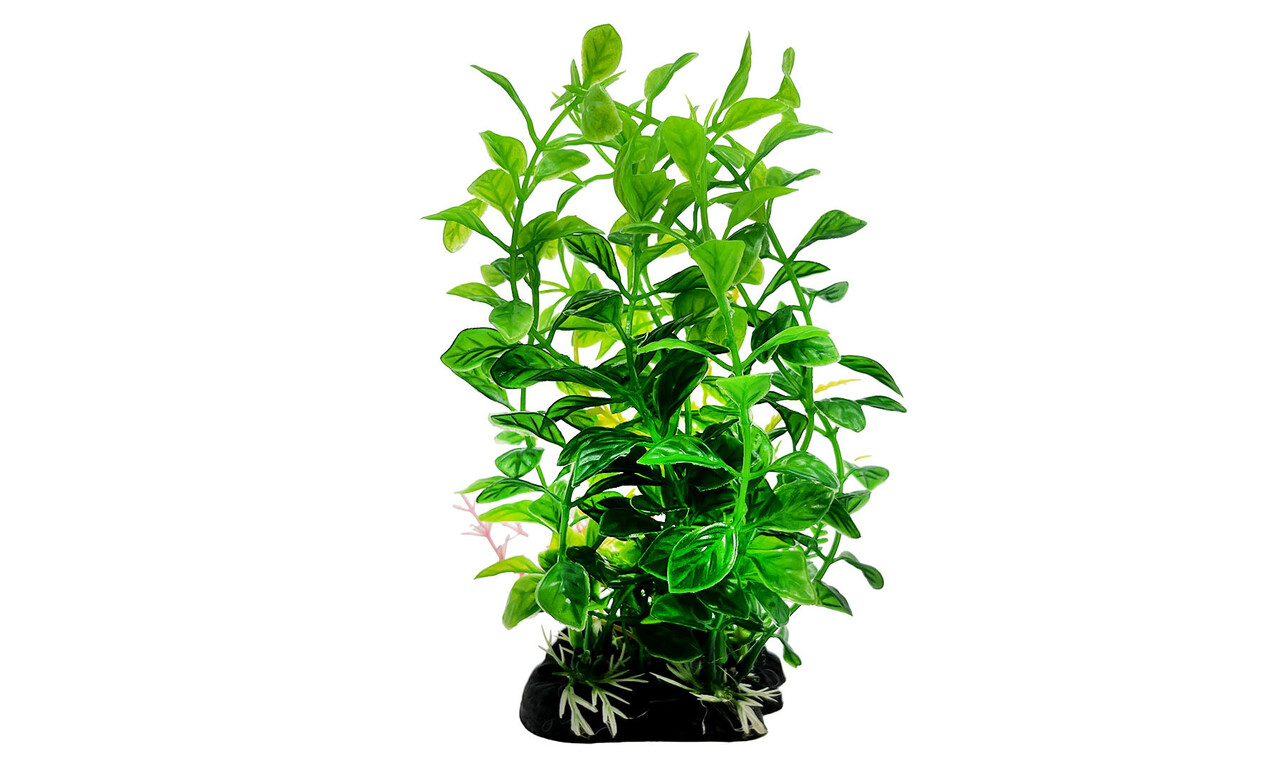 AquastoreXL Kunstpflanze 4