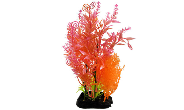 AquastoreXL Kunstpflanze 3 AquastoreXL Kunstpflanze 3