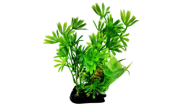 AquastoreXL Kunstpflanze 1 AquastoreXL Kunstpflanze 1