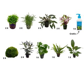 AquastoreXL Pflanzenpaket Extra Large 3