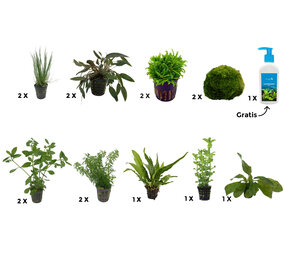AquastoreXL Pflanzenpaket Extra Large 2