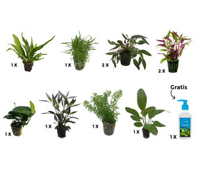 AquastoreXL Pflanzenpaket Large 2