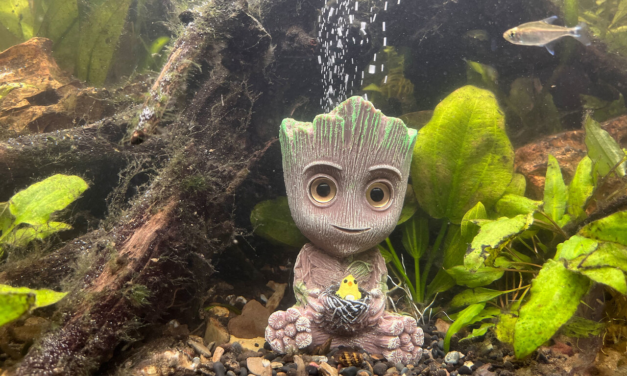 AquastoreXL Baby Boom Monster Ornament mit Luftstein