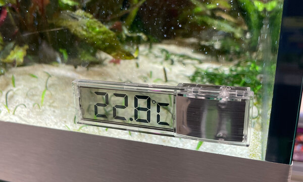 AquastoreXL Digitale Klebethermometer Silber