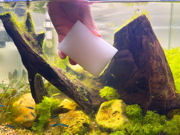 AquastoreXL Algenschwamm 5 Stück AquastoreXL Algenschwamm 5 Stück