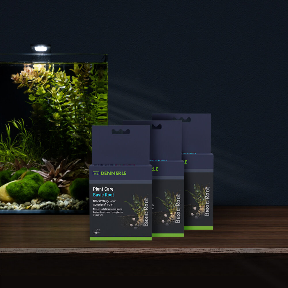 Dennerle Plant Care Basic Root 10 Stück
