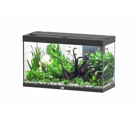 Aquatlantis Splendid 100 Aquarium