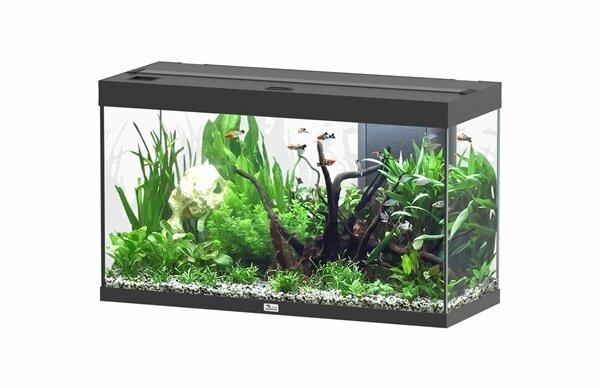 Aquatlantis Splendid 100 Aquarium