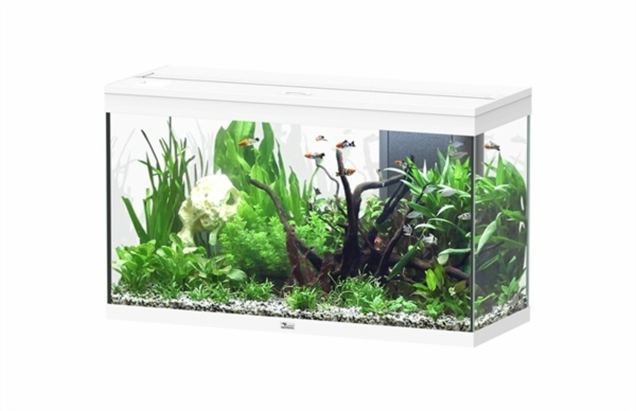 Aquatlantis Splendid 100 Aquarium