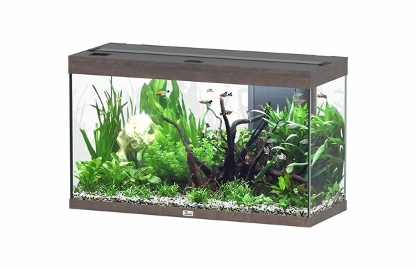 Aquatlantis Splendid 100 Aquarium