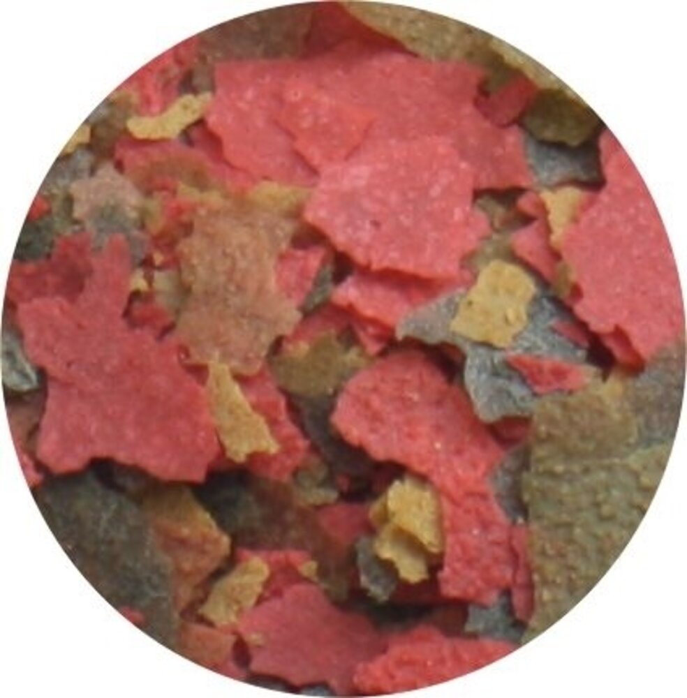 HS Aqua / O.S.I. Freshwater Flakes 1000 ml x2 HS Aqua / O.S.I. Freshwater Flakes 1000 ml x2