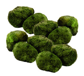 Waterplant Moosball Chladoflora XL 4-7cm 10x Waterplant Moosball Chladoflora XL 4-7cm 10x