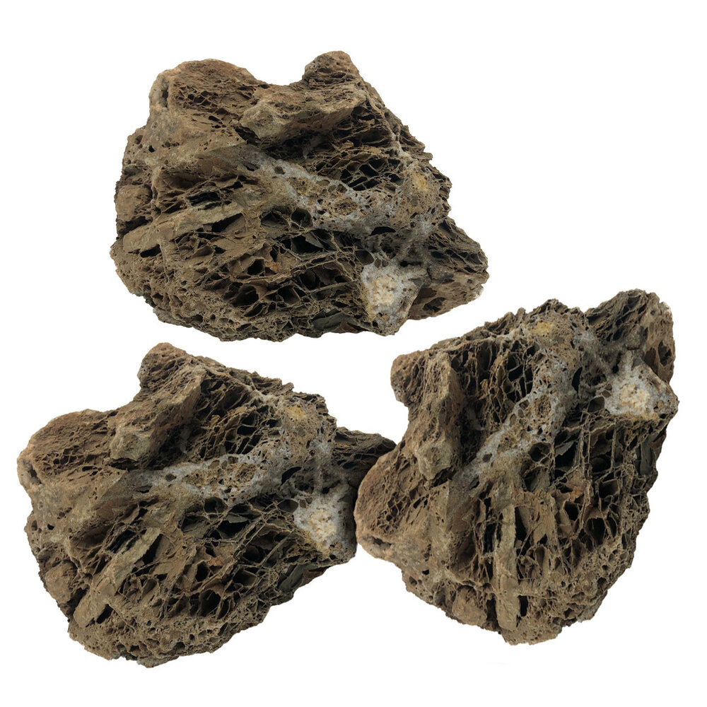 HS Aqua Maple Leaf Rock S x3 HS Aqua Maple Leaf Rock S x3