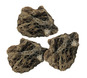 HS Aqua Maple Leaf Rock S x3