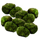 Wasserpflanze Mosbol Chladoflora M 3-4cm 10x Wasserpflanze Mosbol Chladoflora M 3-4cm 10x