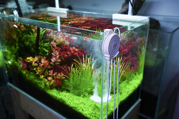 Chihiros Doctor Mate Bluetooth Edition Chihiros Doctor Mate Bluetooth Edition