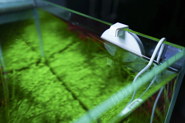 Chihiros Doctor Mate Bluetooth Edition Chihiros Doctor Mate Bluetooth Edition