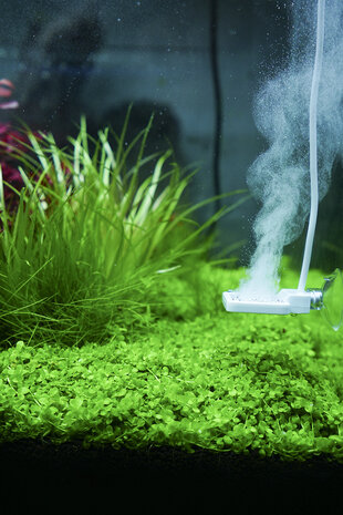 Chihiros Doctor Mate Bluetooth Edition Chihiros Doctor Mate Bluetooth Edition