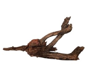 HS Aqua River Wood XL 51-70 CM