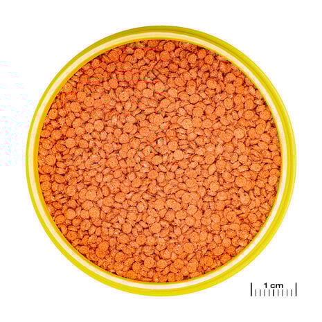 JBL Pronovo Bits Grano M 1000ml