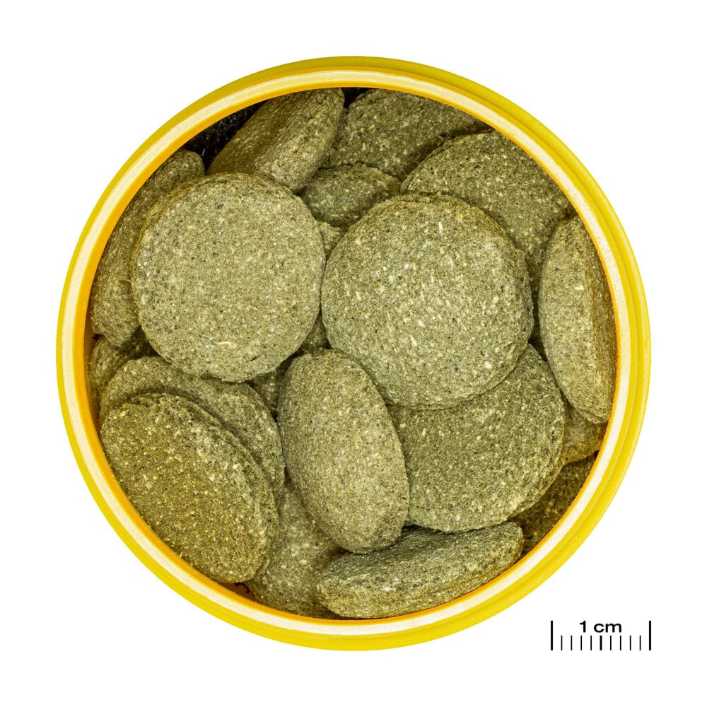 JBL Pronovo Pleco Wafer XL 250ml