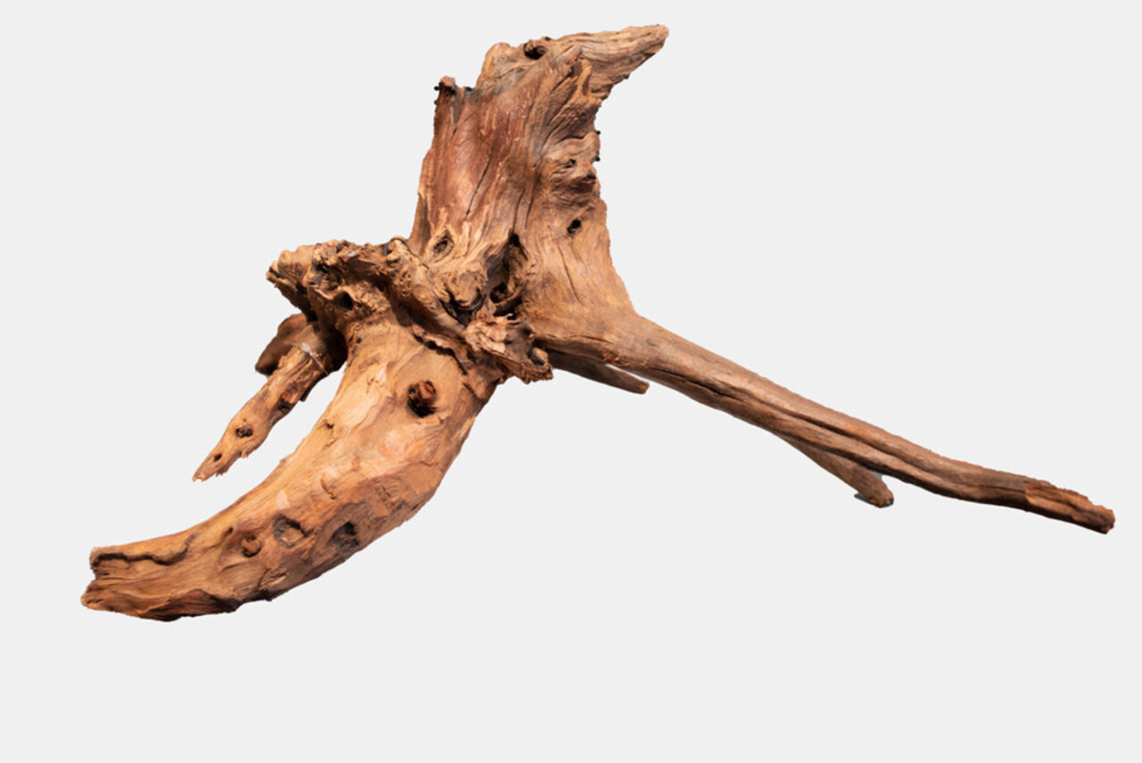 Superfish Mangrove Altholz Extra Groß