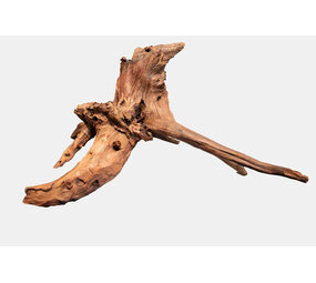 Superfish Mangrove Altholz Extra Groß