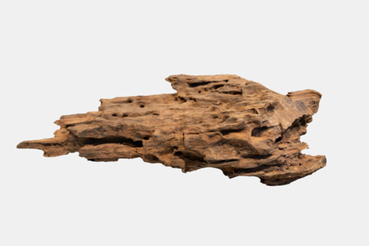 Superfish Honeycomb Wood Medium Superfish Honeycomb Wood Medium