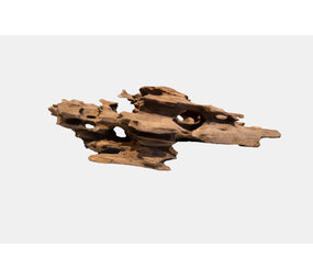 Superfish Honeycomb Wood Klein