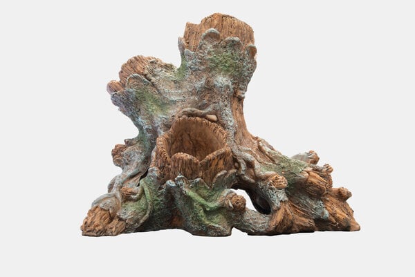 Superfish Scapers Wood Planty L