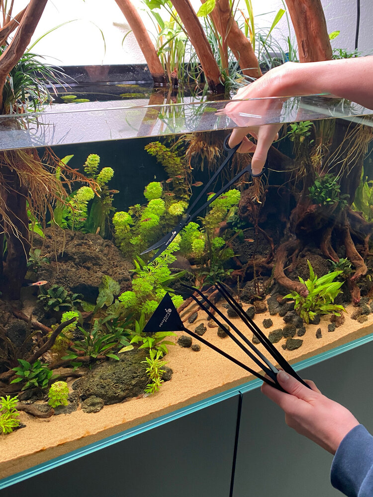 AquastoreXL Scapertools Set