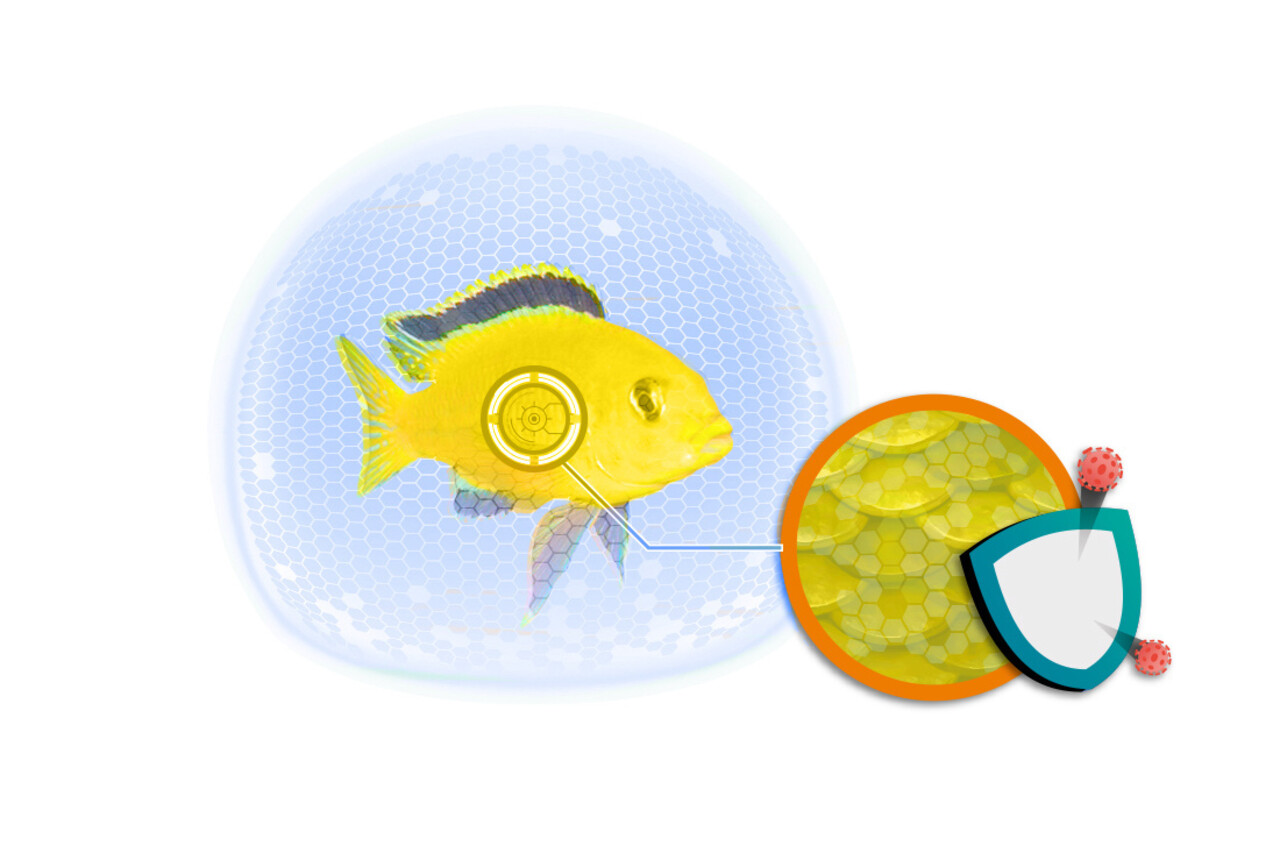 Ciano Fish Protection Dosator XL Ciano Fish Protection Dosator XL