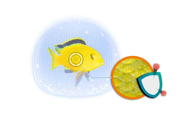 Ciano Fish Protection Dosator Large Ciano Fish Protection Dosator Large