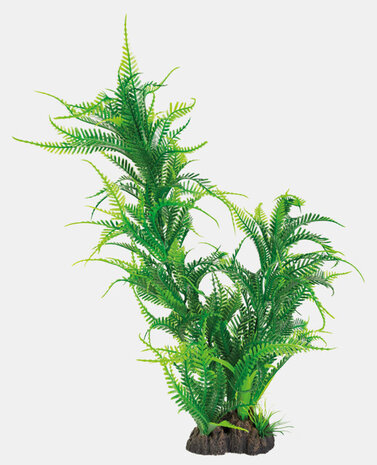Superfish Art Plant 40cm Microsorum