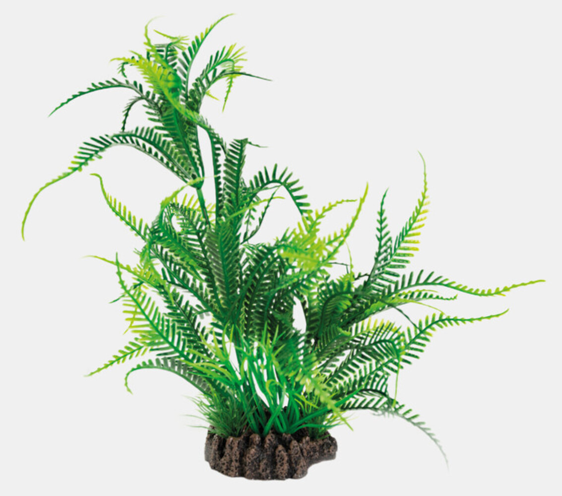 Superfish Art Plant 25cm Microsorum