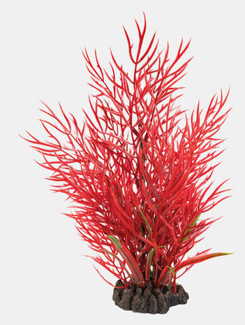 Superfish Art Plant 25cm Ludwigia