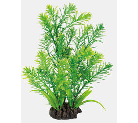 Superfish Art Plant 25cm Hottonia