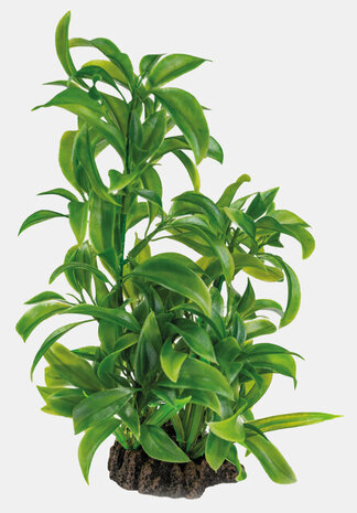 Superfish Art Pflanze 25cm Dracaena