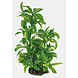 Superfish Art Pflanze 25cm Dracaena
