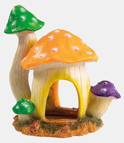 Superfish Mushroom House L