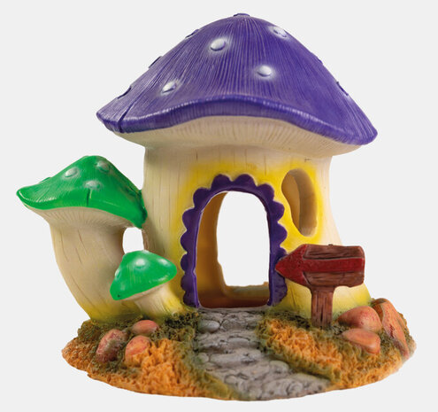 Superfish Mushroom House M Superfish Mushroom House M