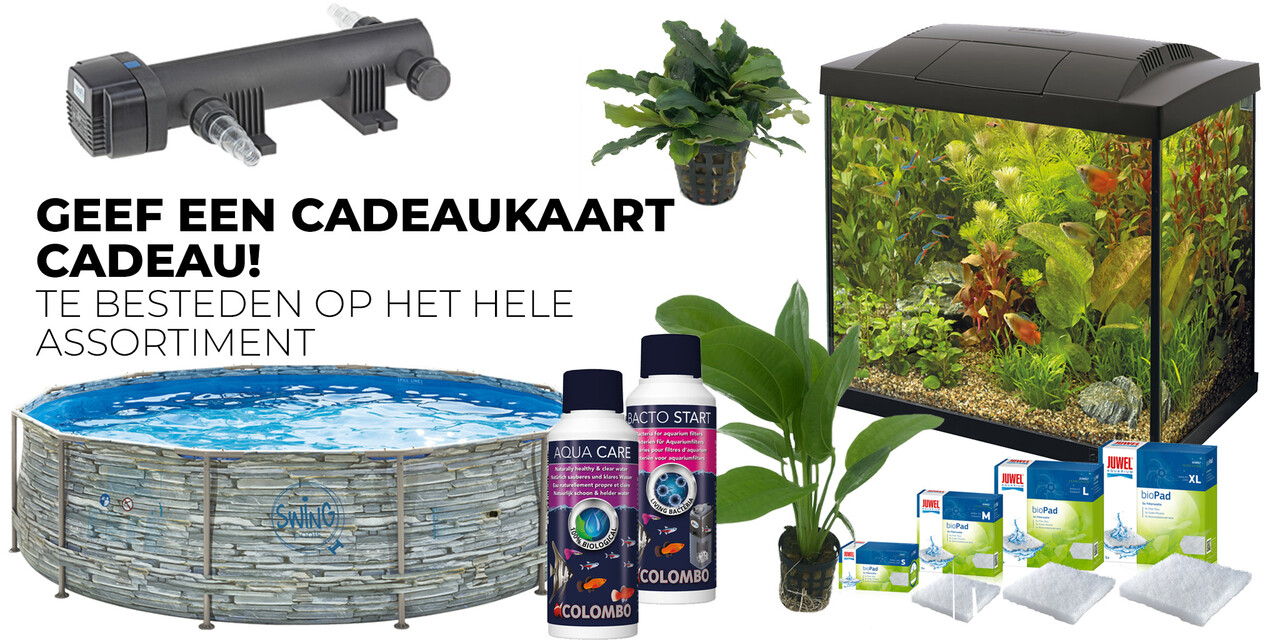 AquastoreXL Geschenkkarte € 100,- digital
