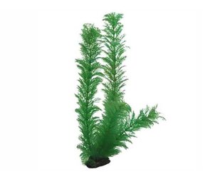 Hobby Pflanze Egeria 34cm Hobby Pflanze Egeria 34cm