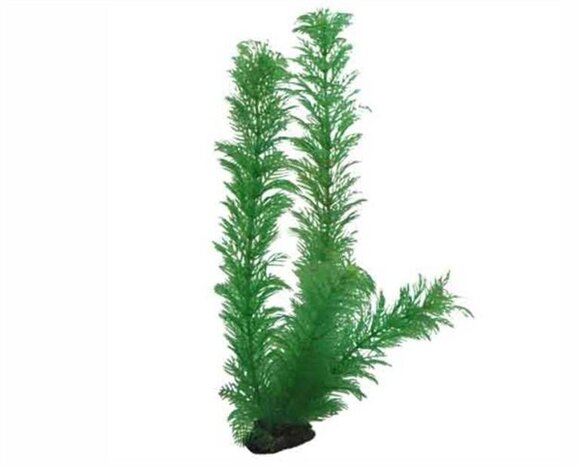 Hobby Pflanze Egeria 34cm Hobby Pflanze Egeria 34cm