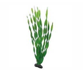 Hobby Pflanze Vallisneria 46cm