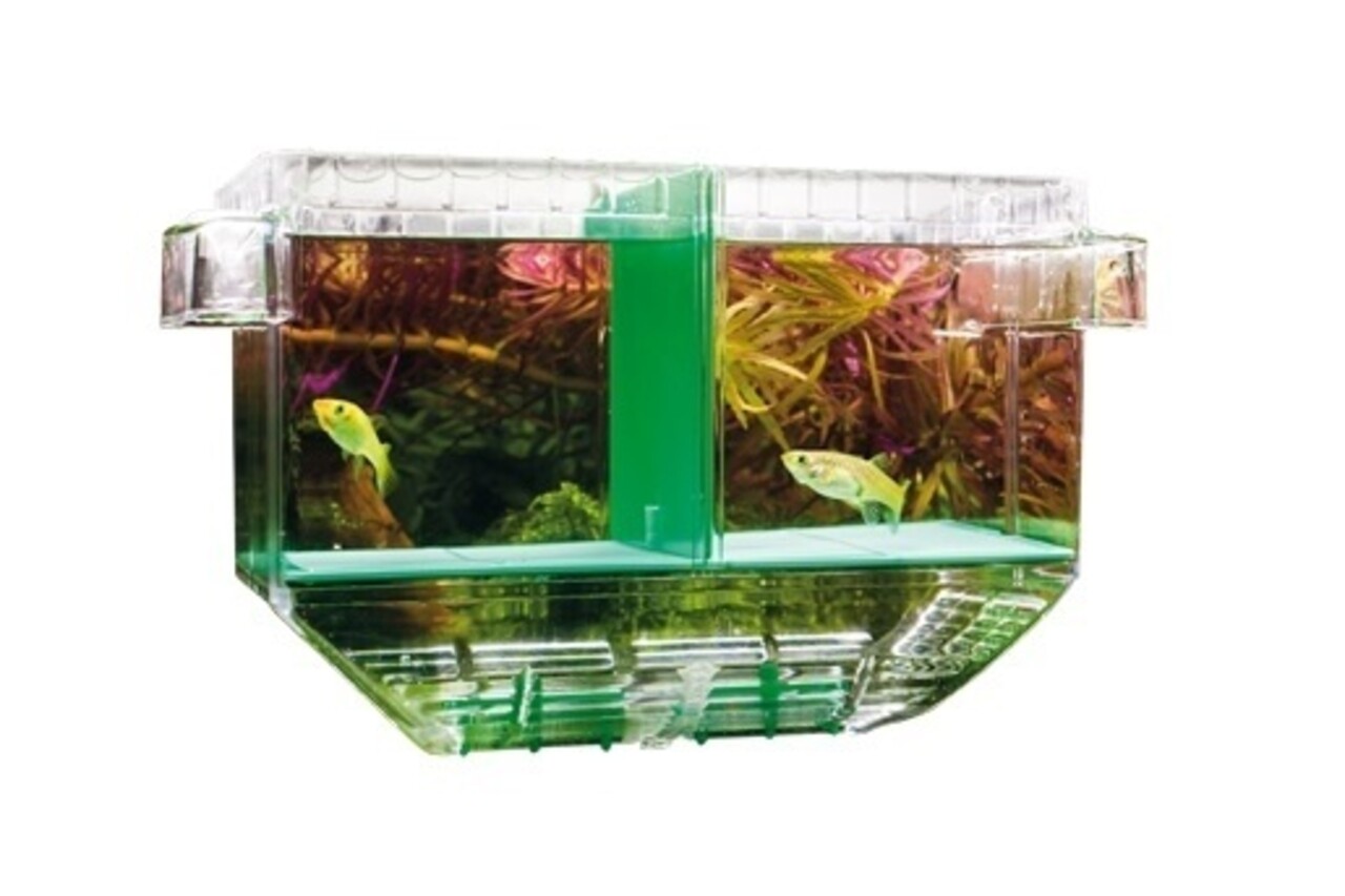 Hobby Nido 1 schwimmendes Aufzuchtbecken