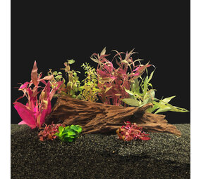 AquastoreXL Pflanzenpaket Rot AquastoreXL Pflanzenpaket Rot