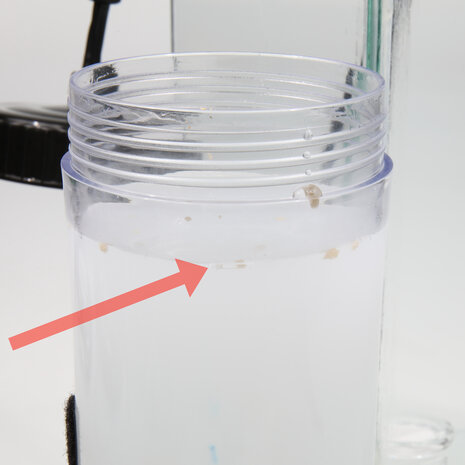 JBL Proflora CO2 Basic Bio Set