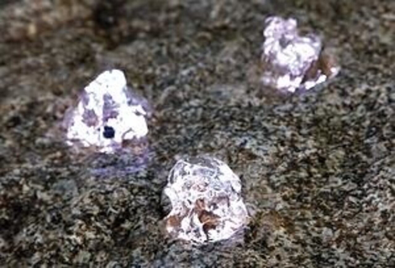 Oase Kabelausgang LunaLed